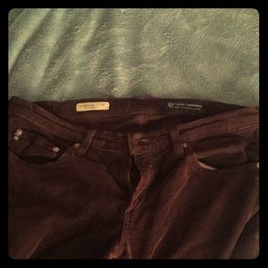 Purple corduroy pants by Adriano goldschmied